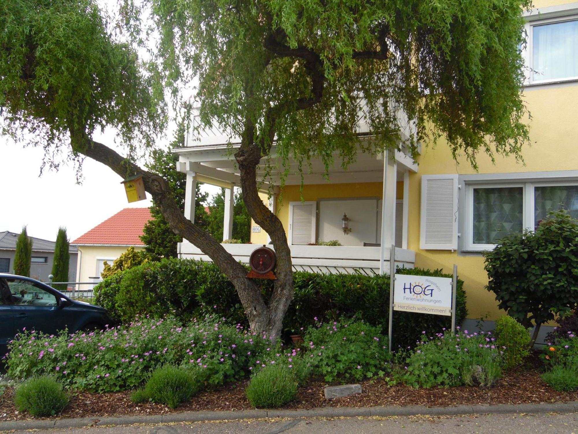 Ferienwohnungen Hog , Ringsheim Exterior foto
