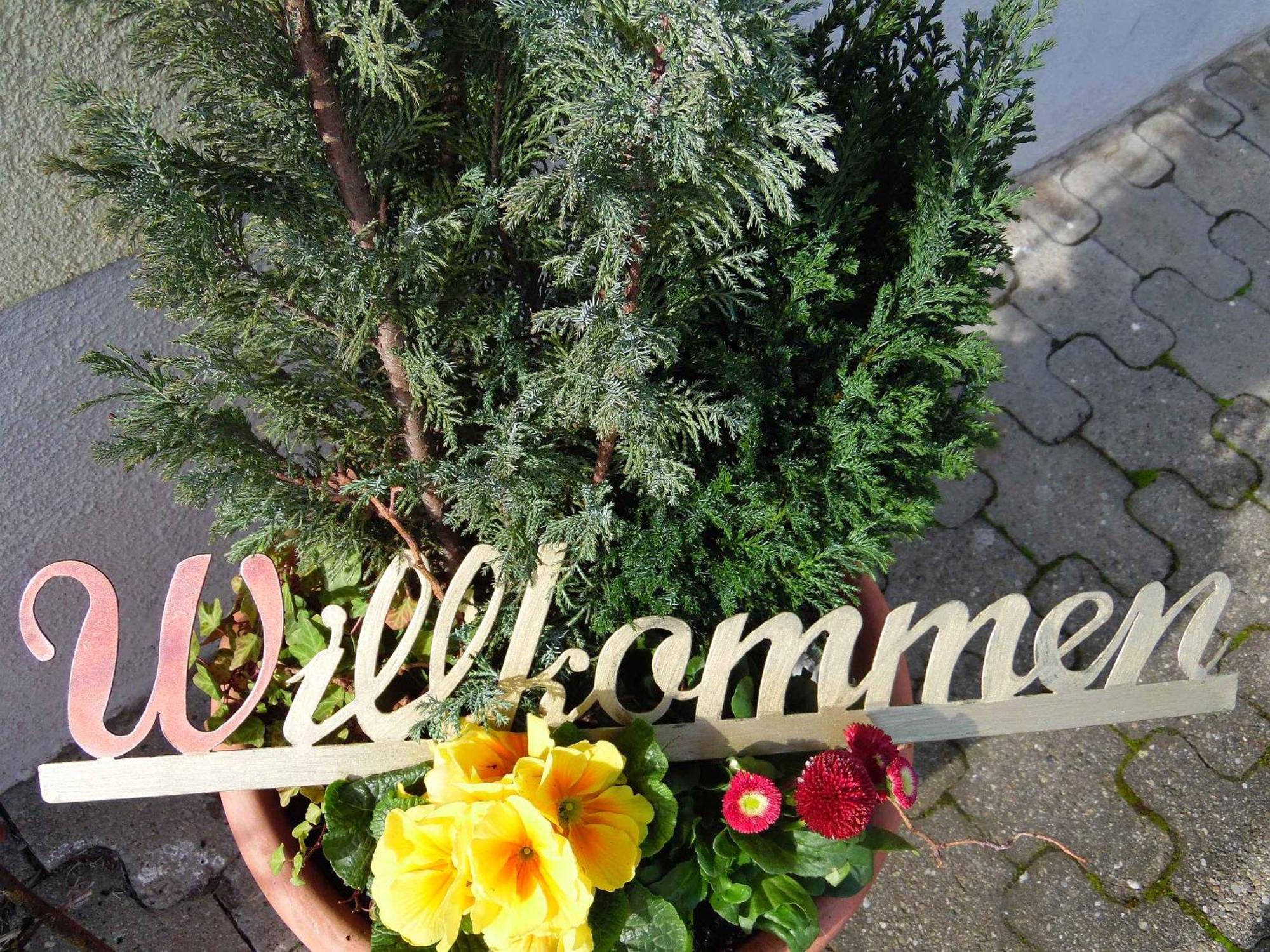 Ferienwohnungen Hog , Ringsheim Exterior foto