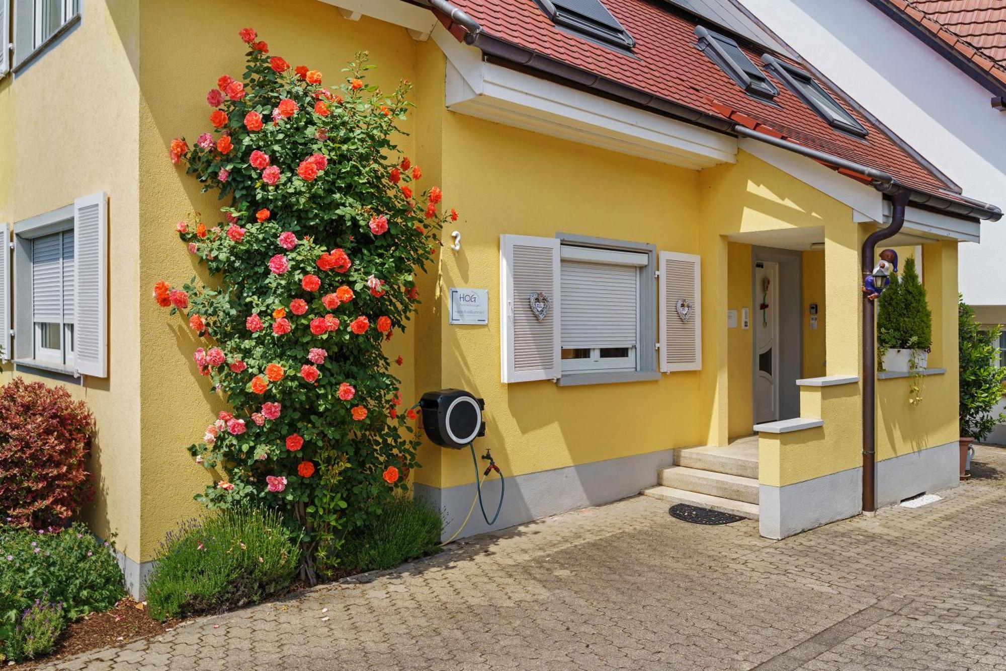 Ferienwohnungen Hog , Ringsheim Exterior foto